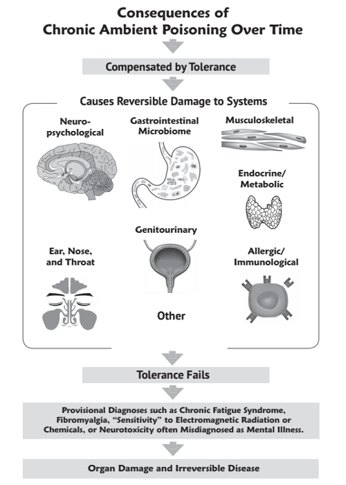 Diagram of poisoning consequences over time